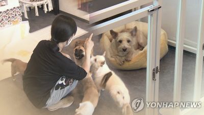 아파트서 진동하는 악취…"탈출만이 정답" 참담한 심정